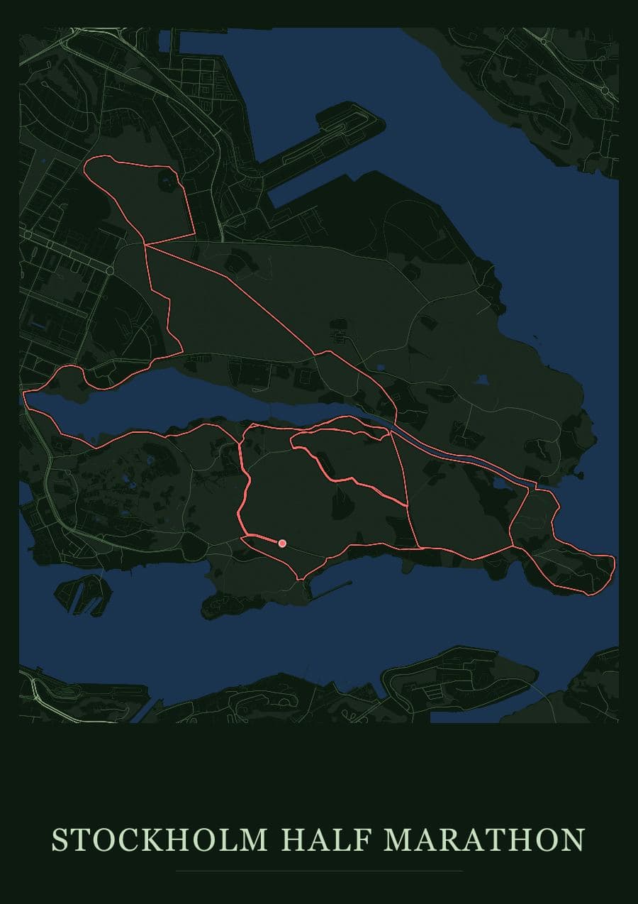 Stockholm Half Marathon — Forest · Full map palette poster