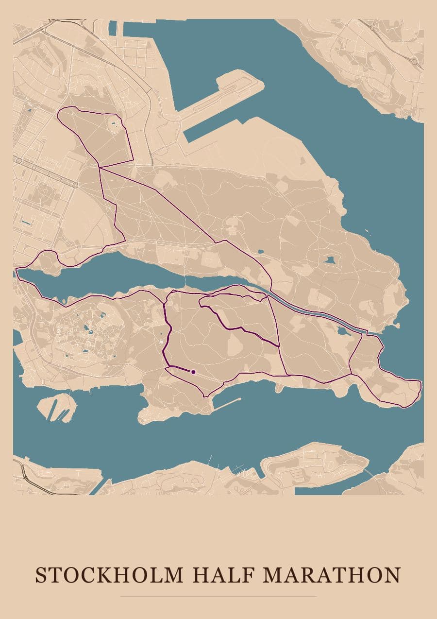 Stockholm Half Marathon — Terracotta · Full map palette poster