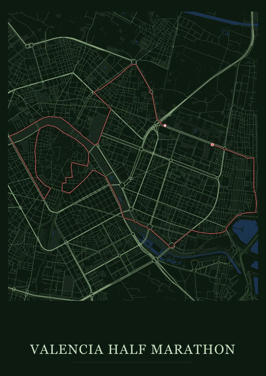 Valencia Half Marathon — Forest · Full map palette poster