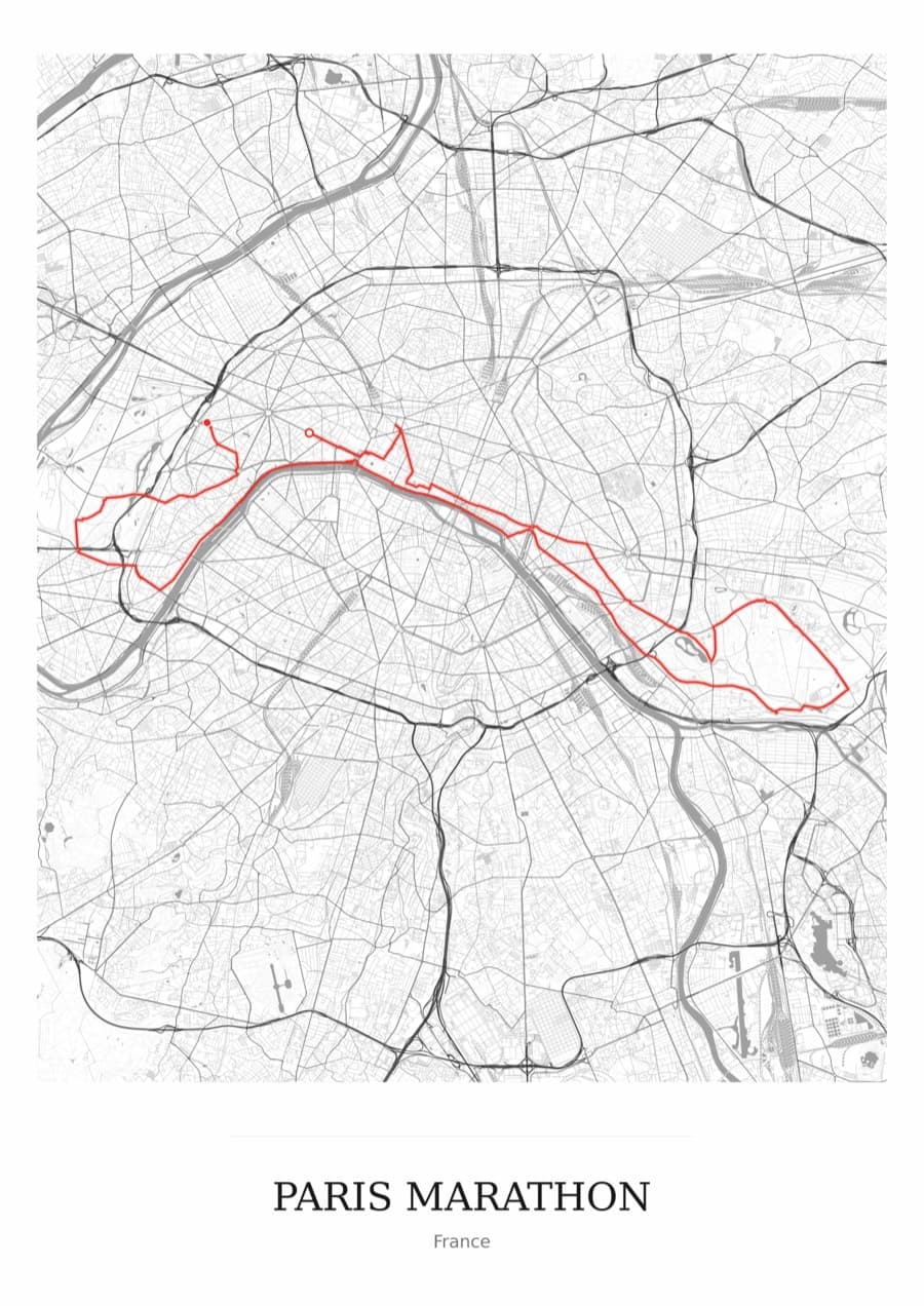 Paris Marathon — Mono · Full map palette poster
