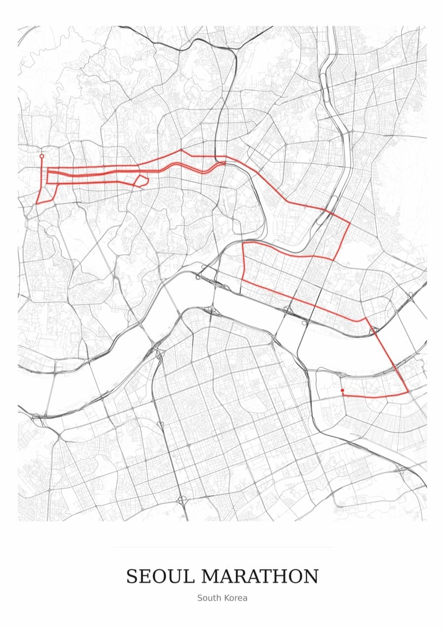 Seoul Marathon — Mono · Full map palette poster
