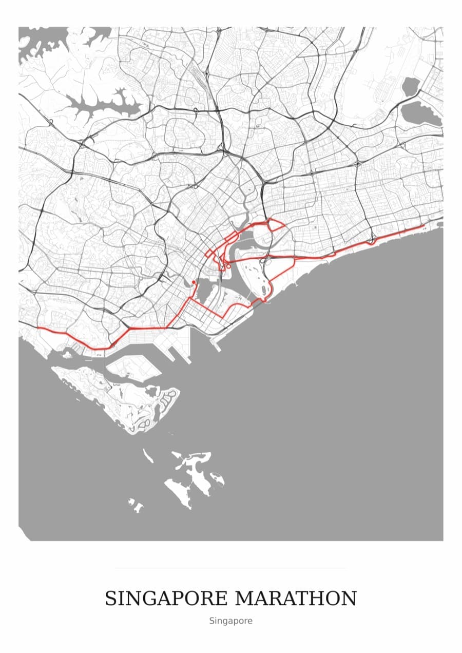 Singapore Marathon — Mono · Full map palette poster