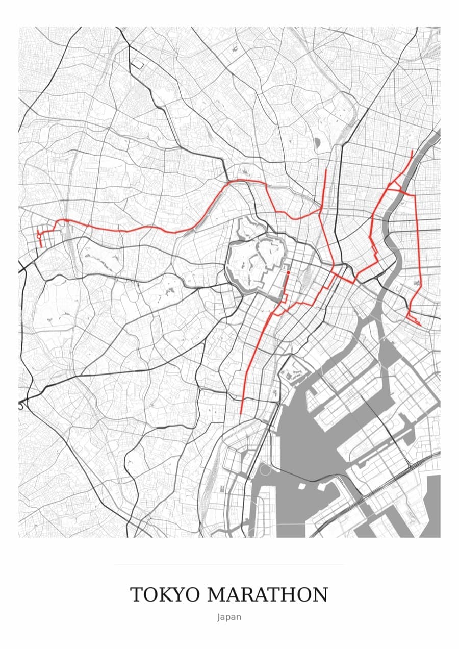 Tokyo Marathon — Mono · Full map palette poster