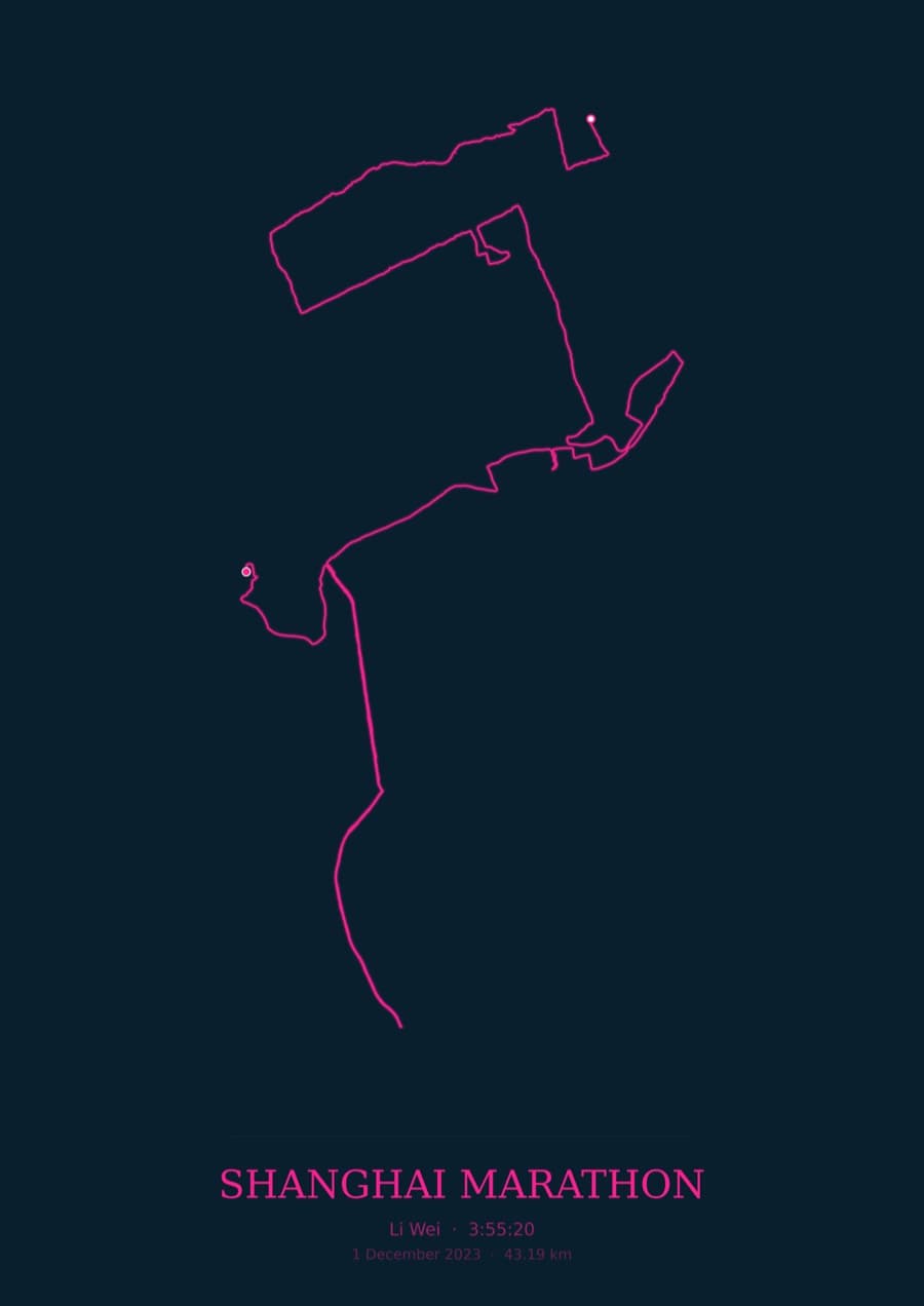 Shanghai Marathon — City Runner 2049 · Route study palette poster